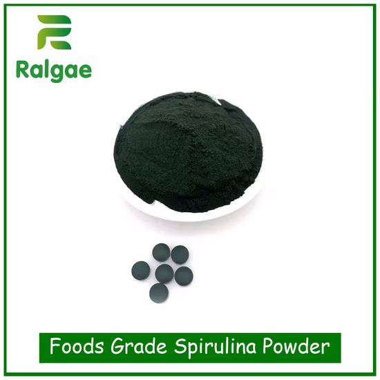 Spirulina Green Powder Foods Grade Suplementos nutricionales de alto valor proteico
