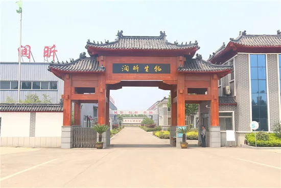 Polvo de colágeno de base marina de Taiwanmei El polvo de proteína de colágeno con sabor de fábrica de China contiene un factor de hidratación natural Suplemento de pescado de colágeno de piel de bacalao